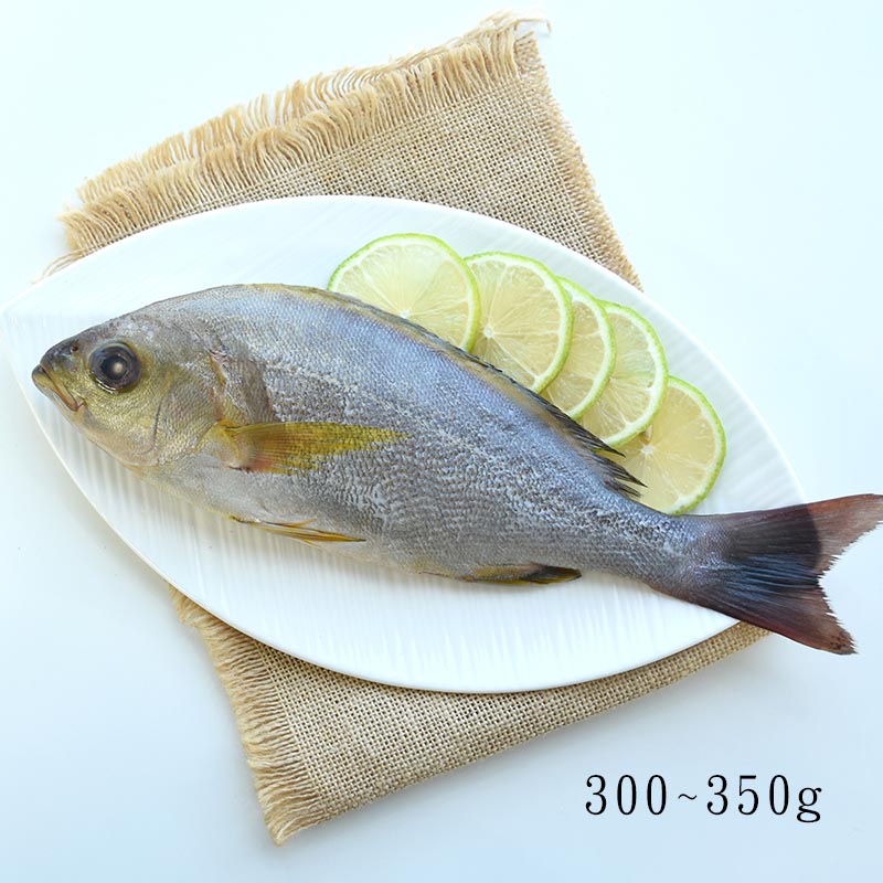 【澎湖珍鮮】澎湖野生船釣黃雞魚(300g/包)