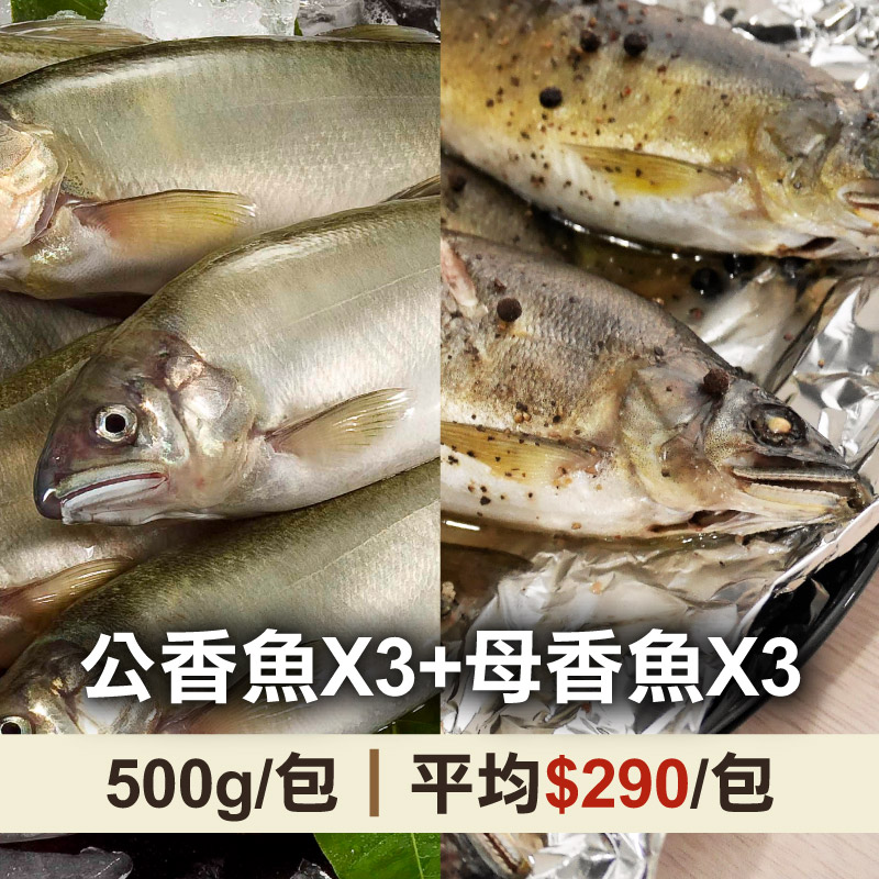 (共6包)【宜蘭游大哥】爆卵母香魚(500g；2尾/包)X3+公香魚(500g；2~4尾/包)X3