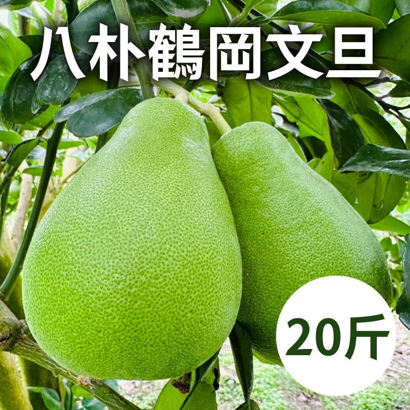 八朴鶴岡文旦20斤
