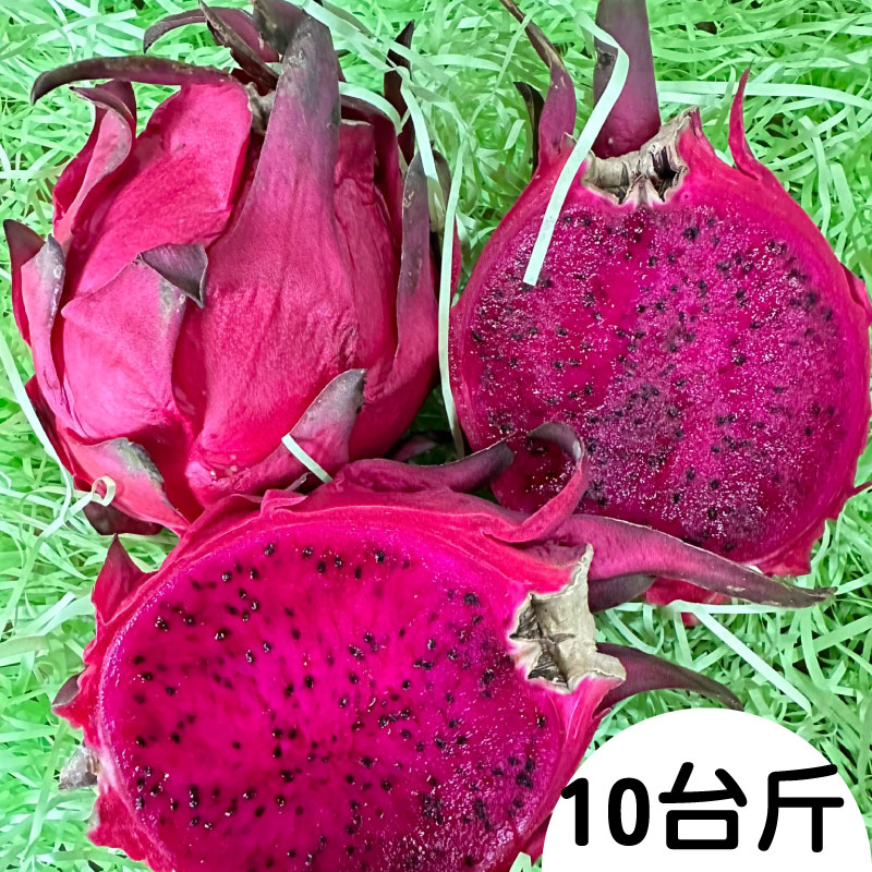 【明豐果品】火龍果(紅肉)(10台斤/箱)