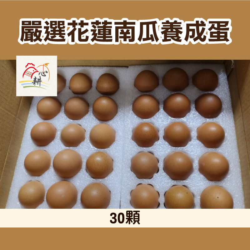 (30顆)【心耕畜牧場】嚴選花蓮南瓜養成蛋