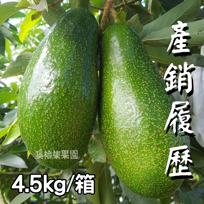 【吳拾柒果園】產銷履歷酪梨(4.5kg/箱)