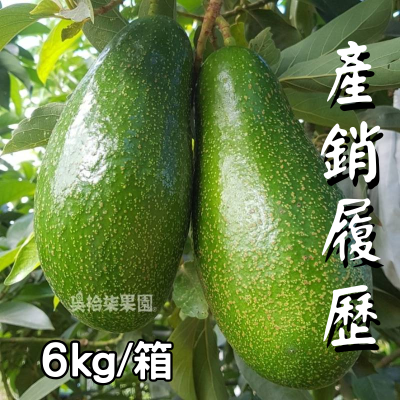 【吳拾柒果園】產銷履歷酪梨(6kg/箱)