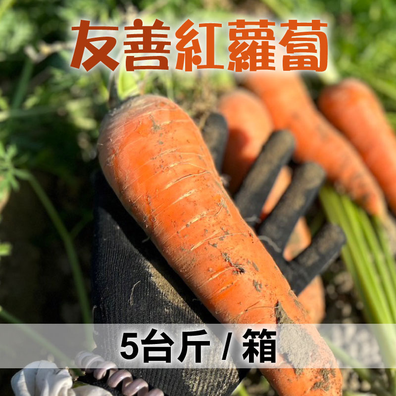 鮮綠農場 友善紅蘿蔔 5台斤/箱