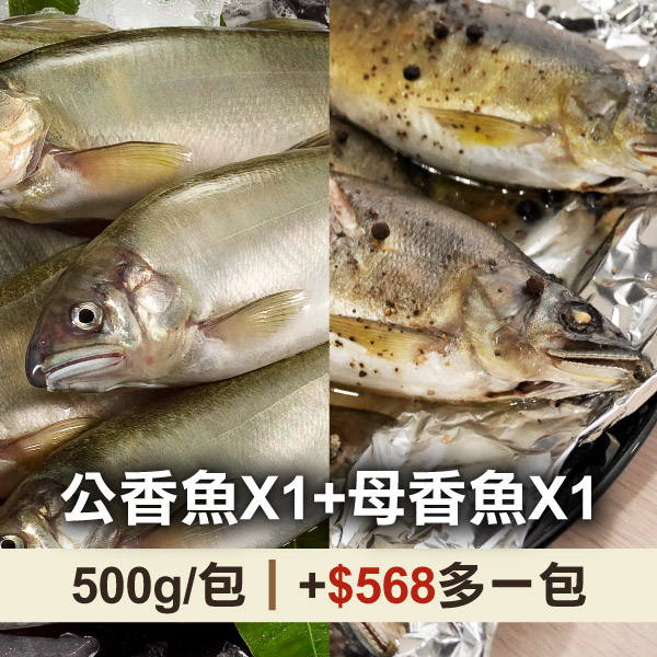 (共2包)【宜蘭游大哥】爆卵母香魚(500g；2尾/包)X1+公香魚(500g；2~4尾/包)X1