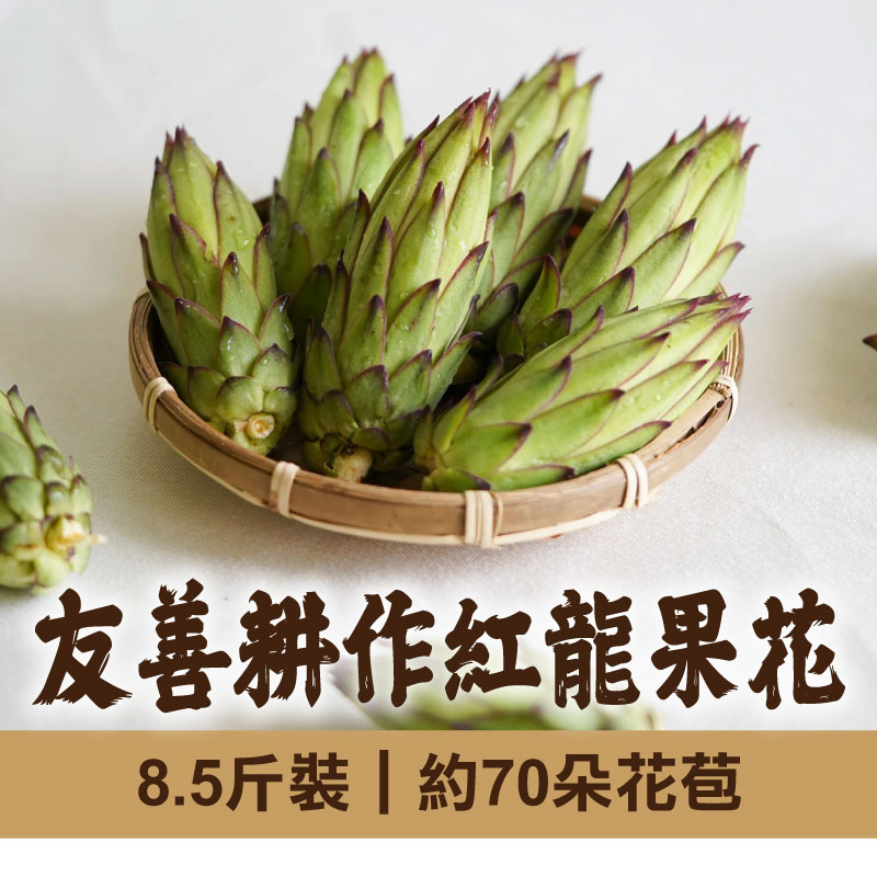 (8.5斤裝)【拾間文化】友善耕作紅龍果花(約70朵花苞)
