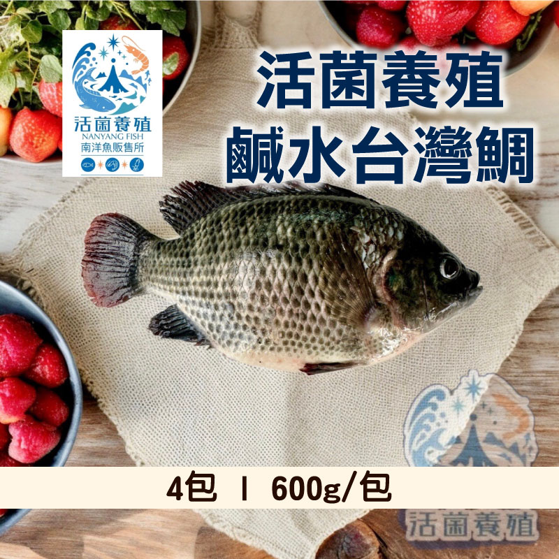 【南洋魚販售所】活菌養殖鹹水台灣鯛600g/包 x4