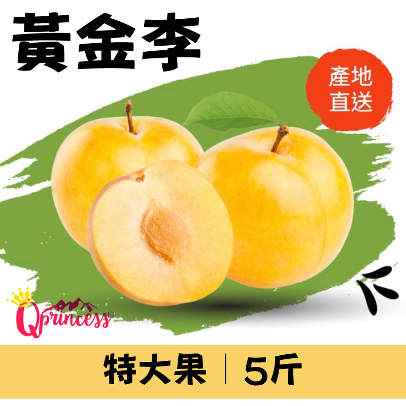 【梨山公主】黃蟬李 特大果5斤