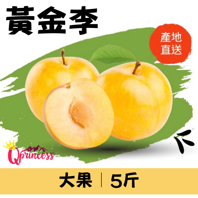 【梨山公主】黃蟬李 大果5斤