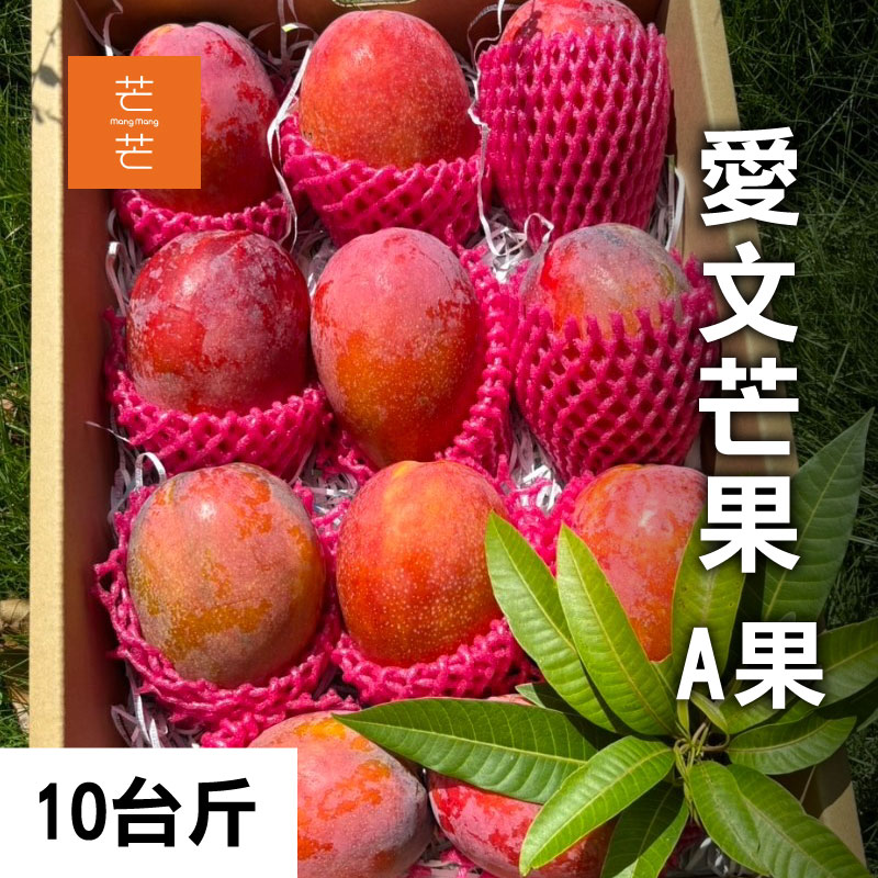 芒芒 愛文芒果A果 10台斤