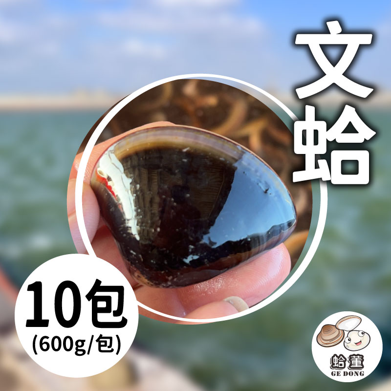 【蛤董養殖】納豆菌養殖新鮮文蛤600g(10包)