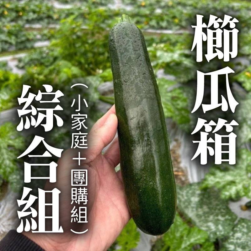 (含運)【宋三哥紅香有機蔬菜】櫛瓜箱小家庭3kg+ 櫛瓜箱團購組合8kg