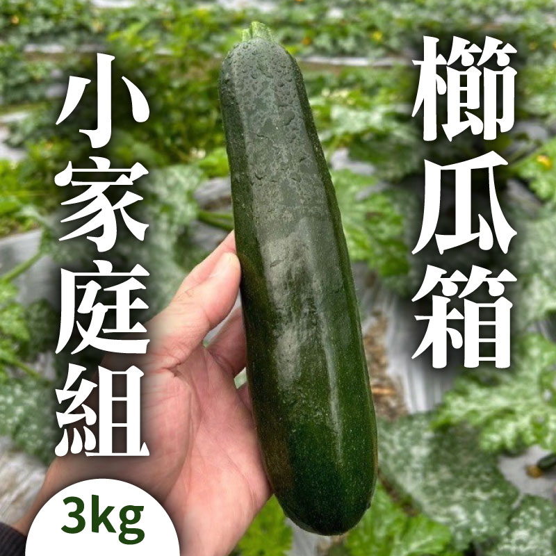 (含運)【宋三哥紅香有機蔬菜】櫛瓜箱小家庭3kg