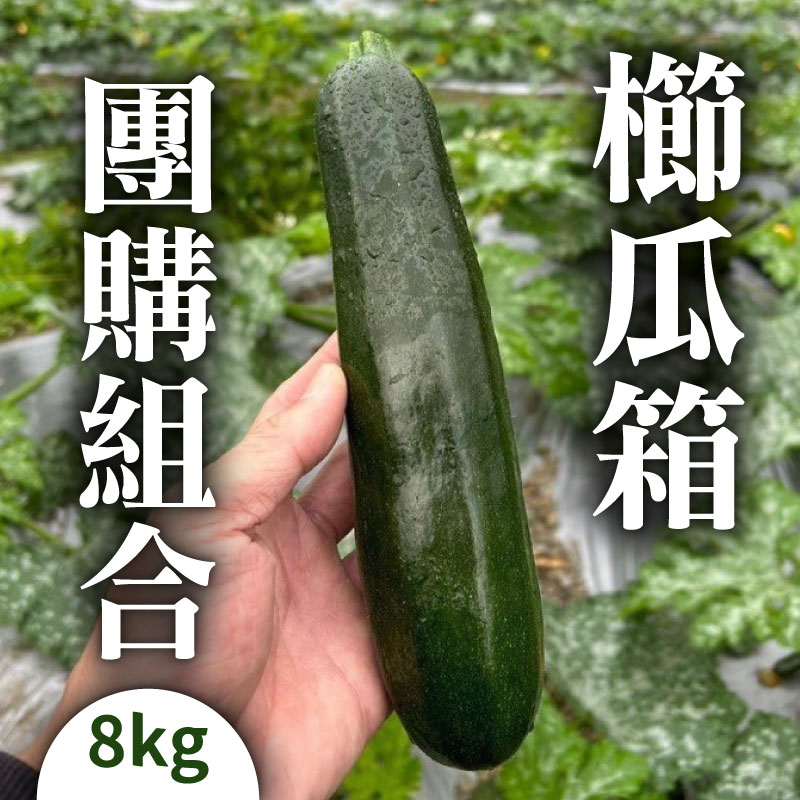 (含運)【宋三哥紅香有機蔬菜】 櫛瓜箱團購組合8kg