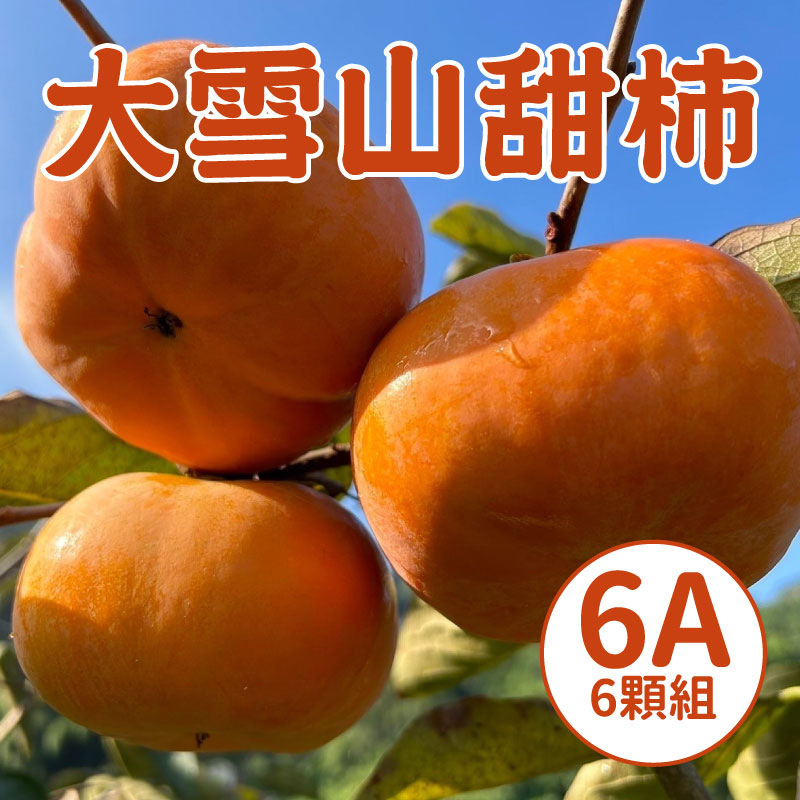 【WU凍桃蔬果園】大雪山甜柿6A(6入)