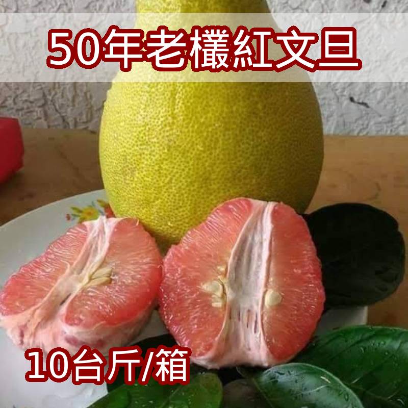 柚香迷人！【四季老欉麻豆文旦果園】50年老欉麻豆紅文旦(10台斤/箱)