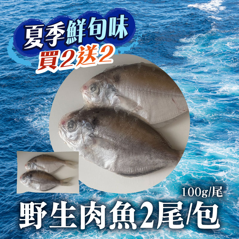 (買2送2)【鯤島隊長】野生肉魚200g/包*2(送野生肉魚*2尾)