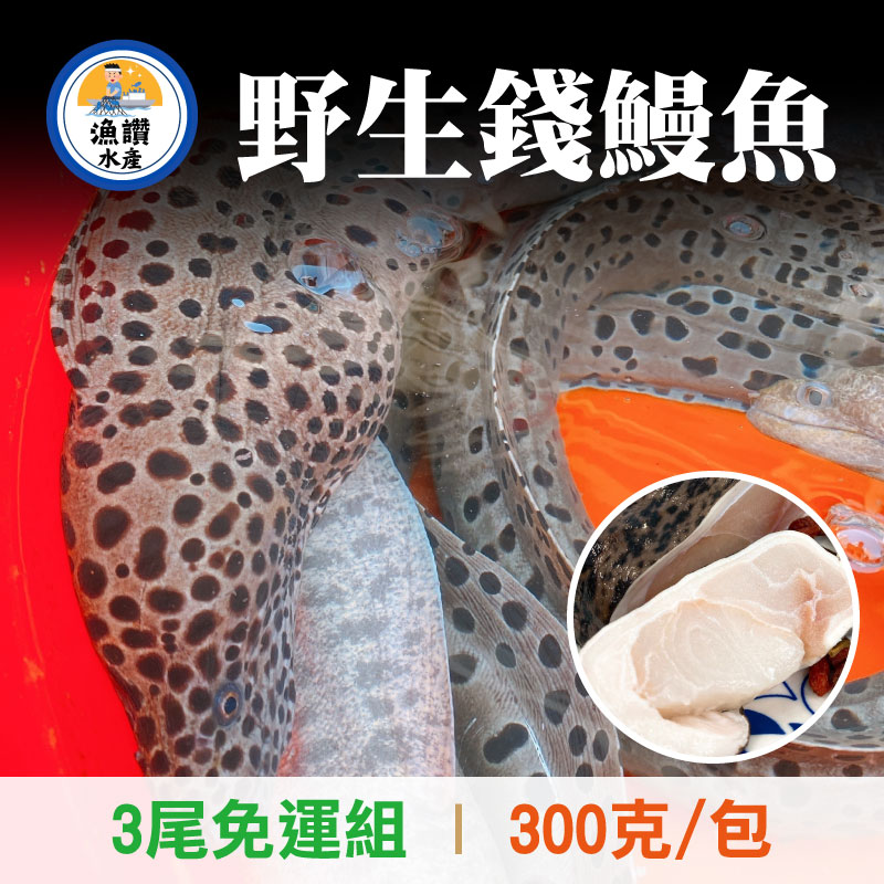 (3包免運組)【漁讚水產行】野生錢鰻魚(300g/包)