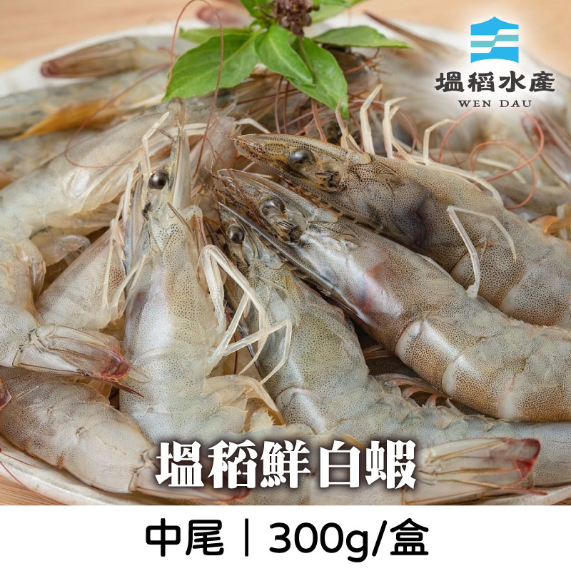 (3盒組)【塭稻水產】塭稻鮮白蝦(中尾)300g/盒
