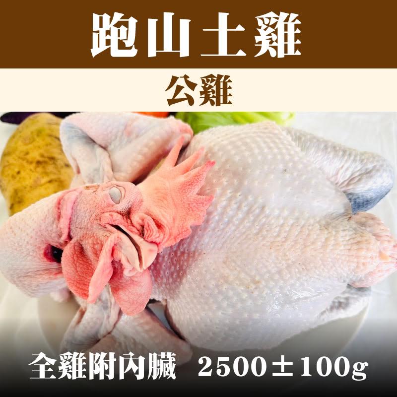 【養雞人家】 跑山土雞--公雞（全雞附內臟 2500±100g）