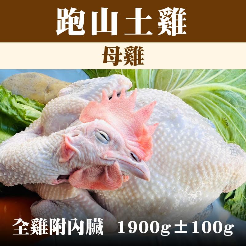 【養雞人家】 跑山土雞--母雞（全雞附內臟 1900g±100g）