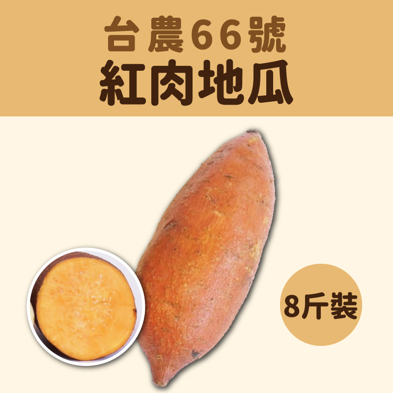 【遇見薯】台農66號紅肉地瓜 8斤裝