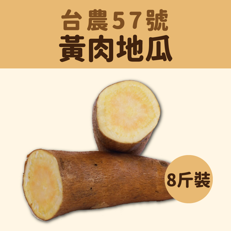 【遇見薯】台農57號黃肉地瓜 8斤裝