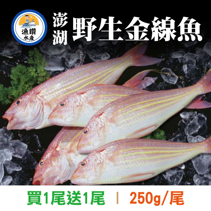 (買1尾送1尾)【漁讚水產行】澎湖野生金線魚(250g/尾)