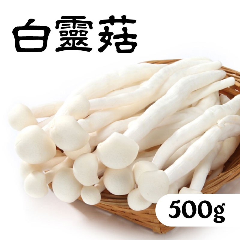 吉鮮購 白靈菇500g