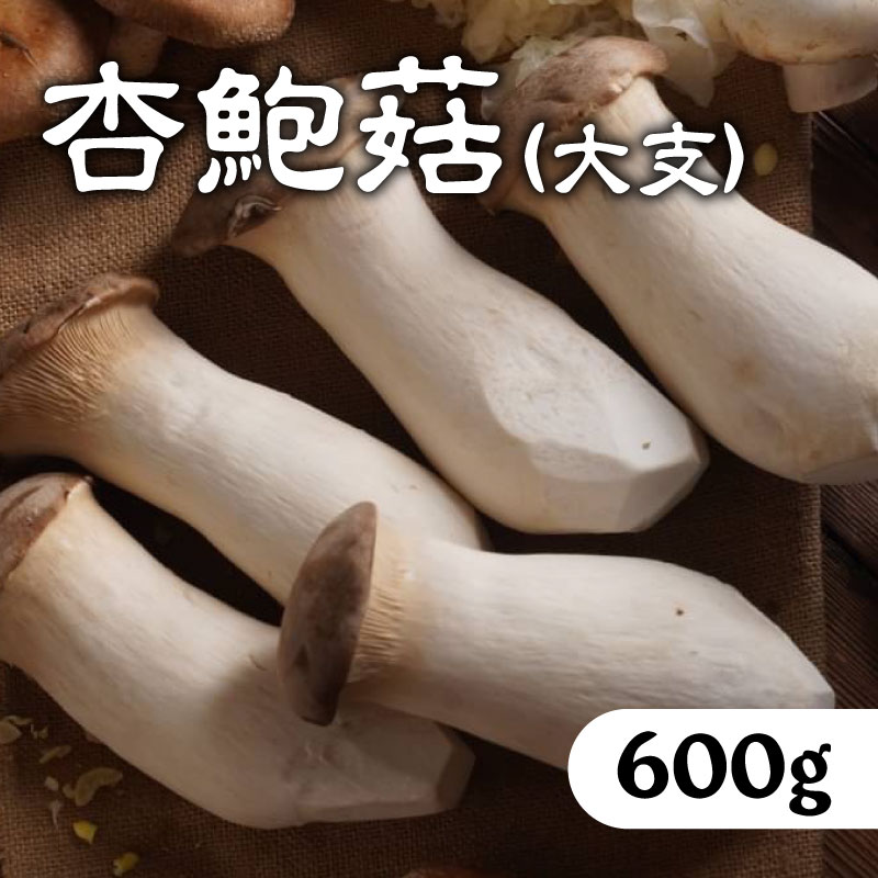 吉鮮購 杏鮑菇（大支）600g