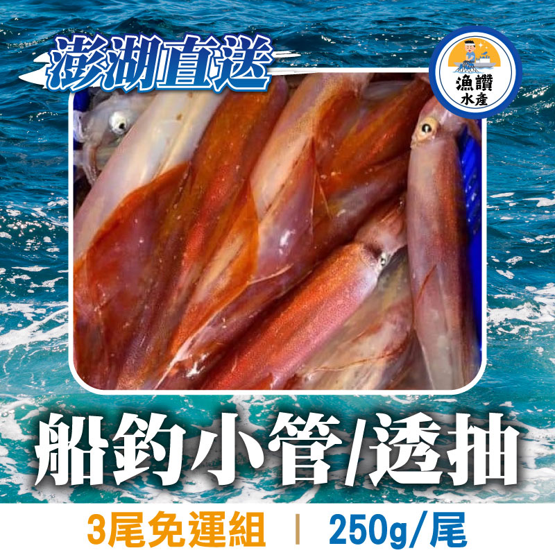 (3尾免運組)【漁讚水產行】船釣小管(透抽)250克/尾