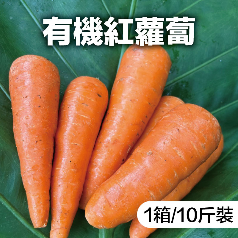 【合汝共榮食作坊】有機紅蘿蔔(1箱/10斤裝)