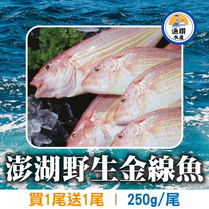 (買1尾送1尾)【漁讚水產行】澎湖野生金線魚(250g/尾)