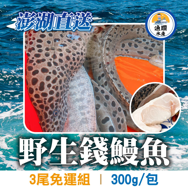 (3包免運組)【漁讚水產行】野生錢鰻魚(300g/包)