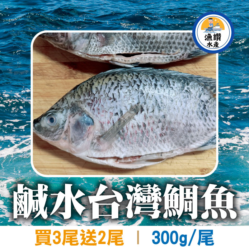 (買3尾送2尾)【漁讚水產行】鹹水台灣鯛魚(300g/尾)