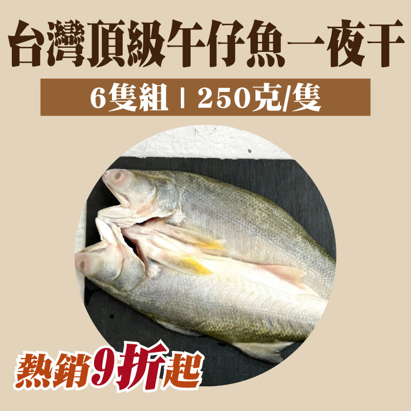 ( 歡樂饗吃6隻組)【五朝港水產】台灣頂級午仔魚一夜干(250g/隻)