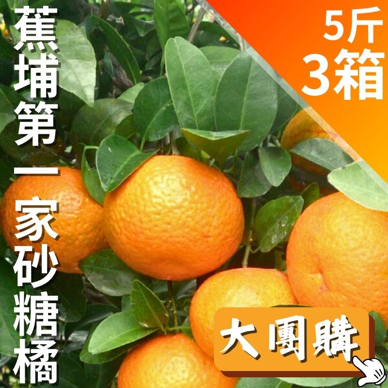 【大團購】蕉埔第一家砂糖橘(5台斤)*3箱-甜柑蜜