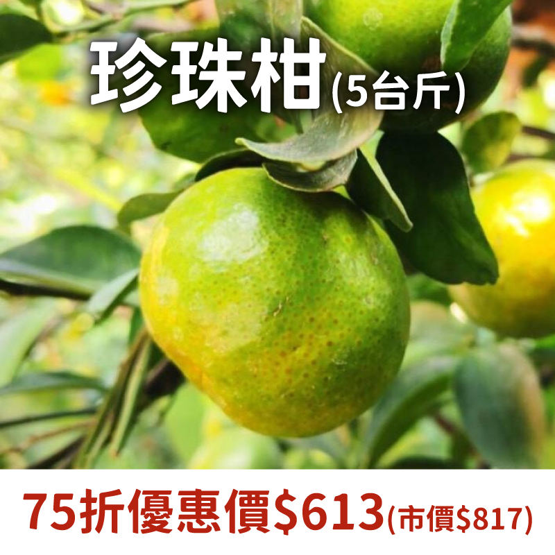 甜柑蜜-《吳家果園》珍珠柑-5台斤