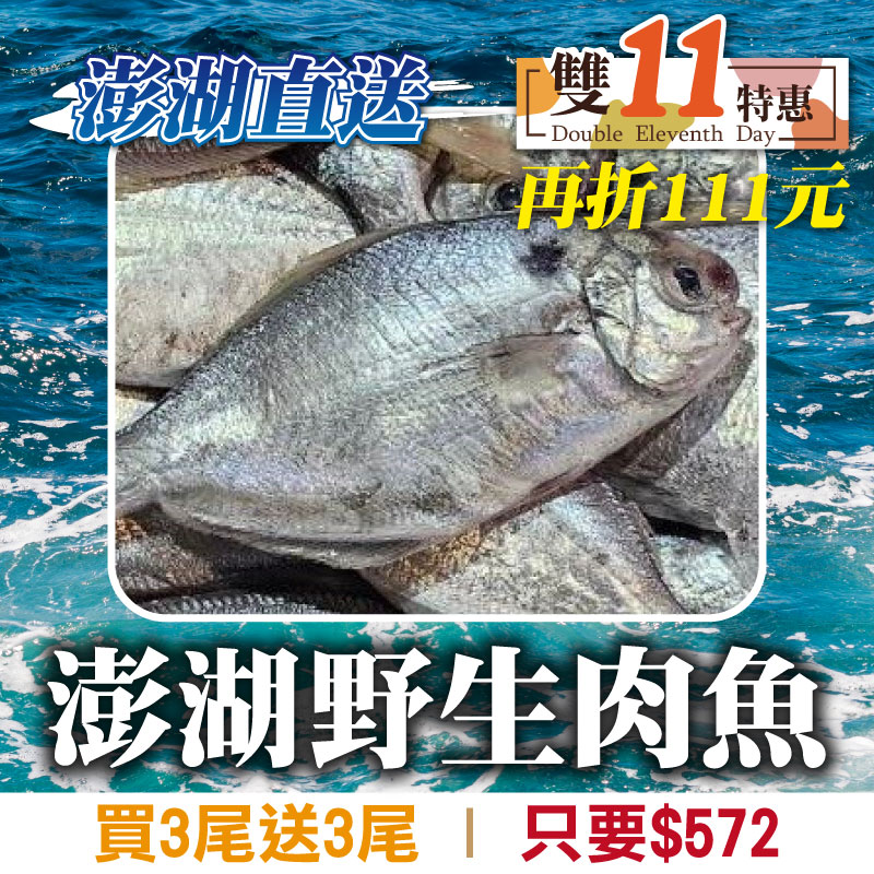 (買3尾送3尾)【漁讚水產行】澎湖野生肉魚(300g/3尾/包)~雙11好評再加碼