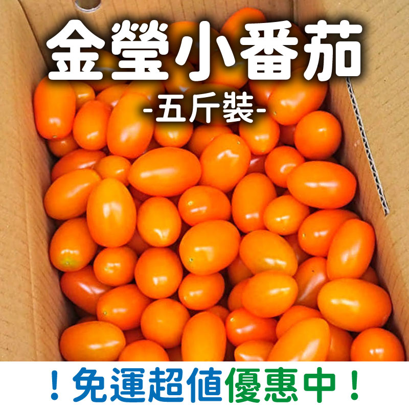 【福星農場】金瑩小蕃茄五斤裝