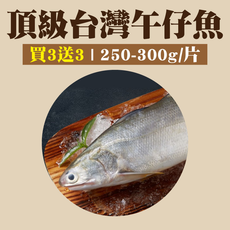 【大團購】(買3送3)【五朝港水產】頂級台灣午仔魚 已三去 (250-300克/隻)