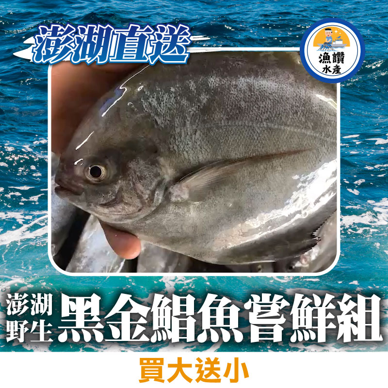 甩肉大作戰💪買大送小【漁讚水產行】澎湖野生黑金鯧魚嘗鮮組