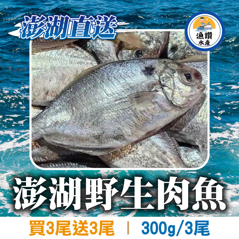 甩肉大作戰💪(買3尾送3尾)【漁讚水產行】澎湖直送野生肉魚(300g/包/3尾)