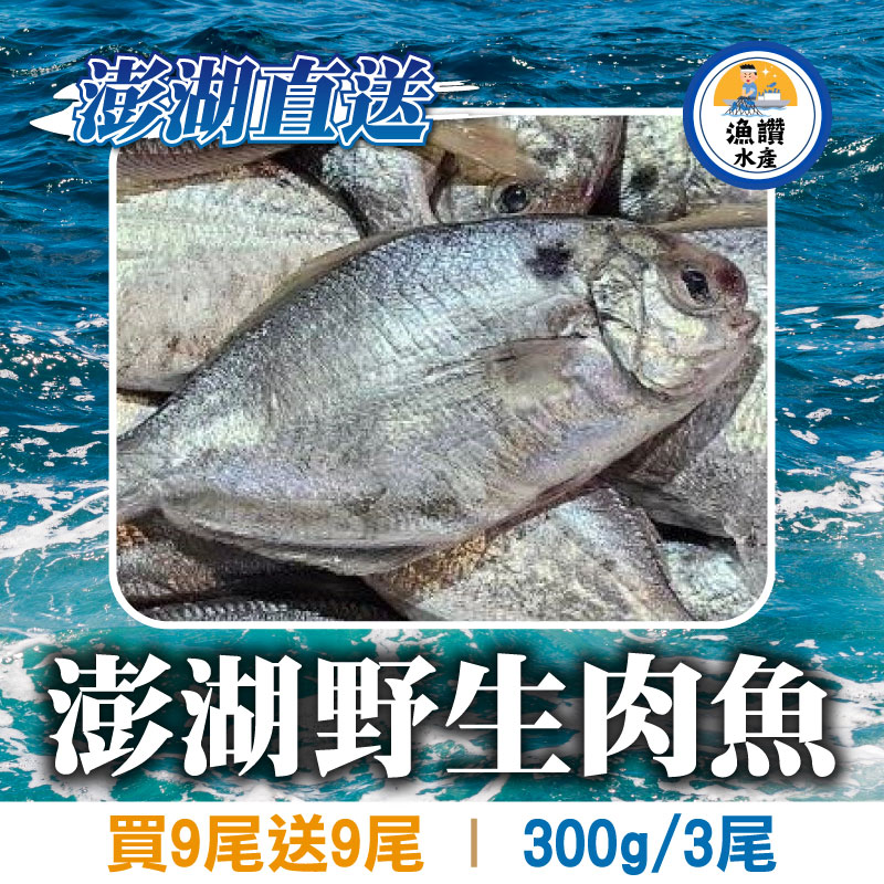 甩肉大作戰💪(買9尾送9尾)【漁讚水產行】澎湖直送野生肉魚(300g/包/3尾)