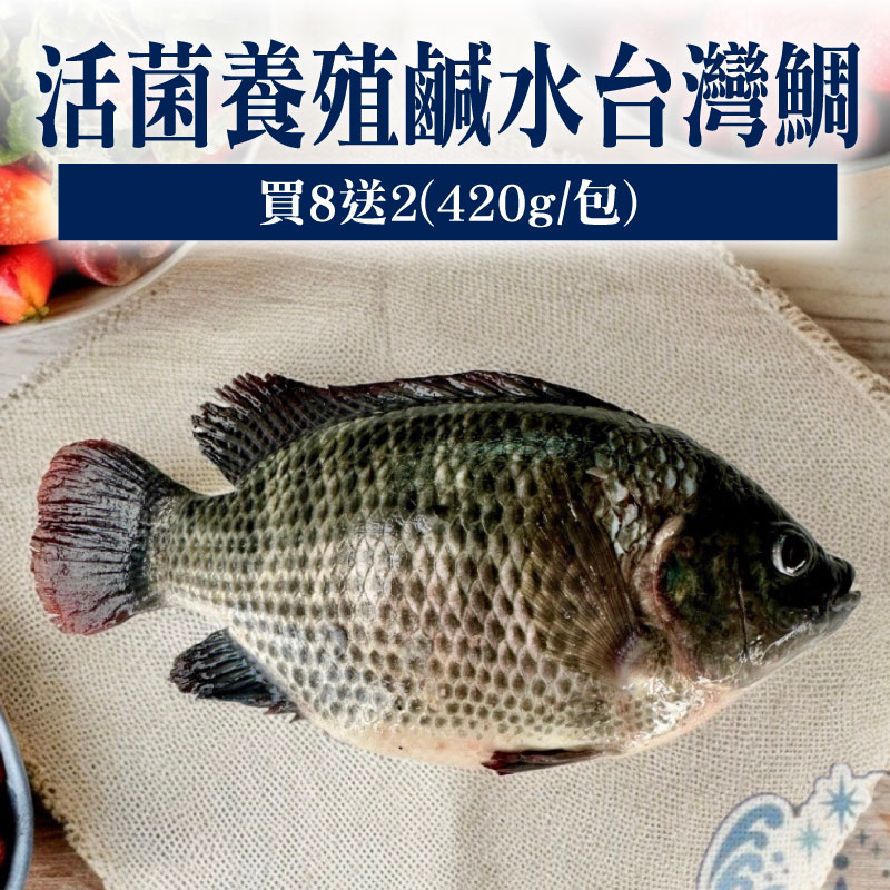 大團購(買8尾送2尾)【南洋魚販所】活菌養殖鹹水台灣鯛(420g/包)