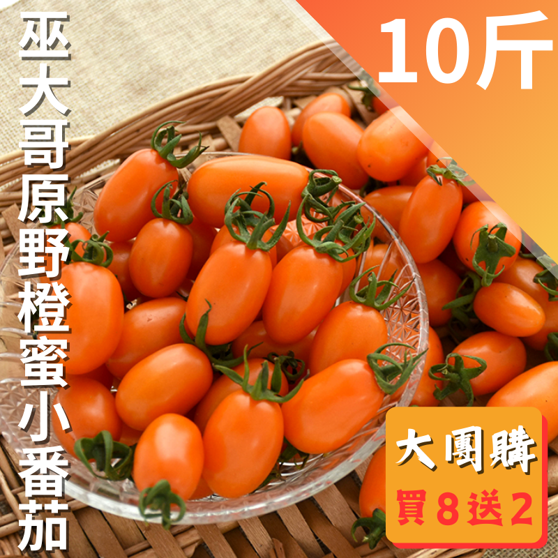 【一路發】巫大哥原野橙蜜小番茄 買8送2(共10台斤)