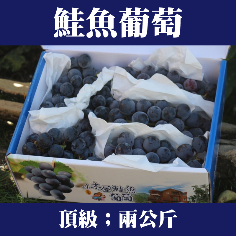 鮭魚葡萄 頂級2KG