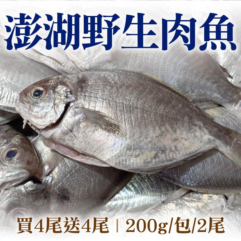 (買4尾送4尾)【海味福】澎湖野生肉魚(200g-219g/包/2尾)