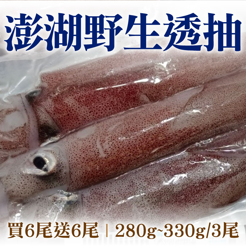 (買6尾送6尾)【海味福】澎湖野生透抽(280g~330g/3尾)