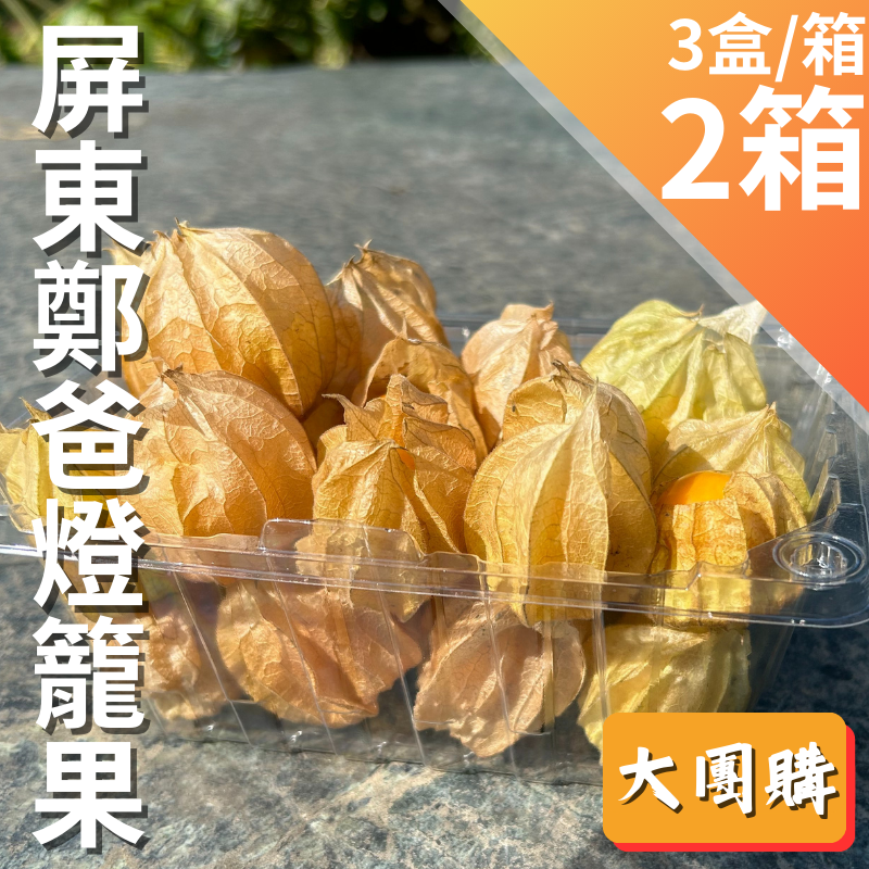 【大團購】屏東鄭爸燈籠果(200g/盒)3盒/箱*2箱-女神駕到